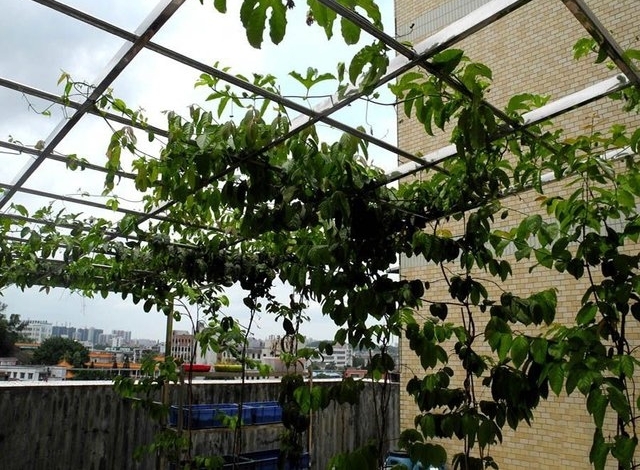 ����������ô��һ�����ӾͿ���������̨����Բ�����