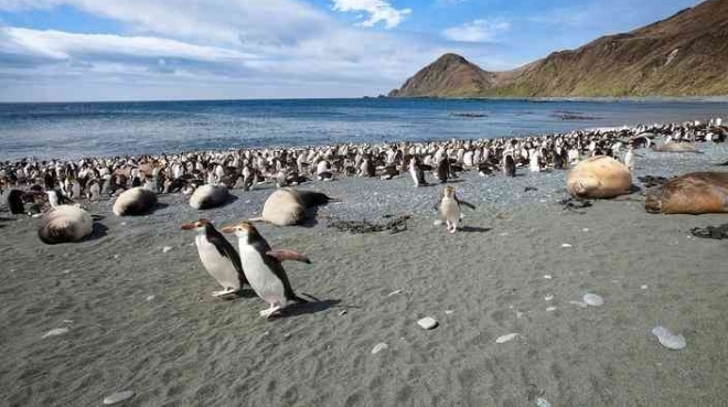 �Ĵ�����һС�������ռ�죬���ص���조���ĳ��֡�