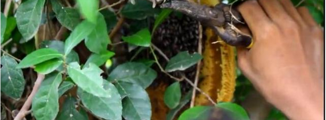 ũ��С����ɽ�ɻ��Ȼ����һ������������������ϣ�