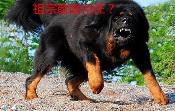 ԭ��̩�ϺͲ����������������ȱ�����˼���Ѿ�׼����ϵ�����ˣ�