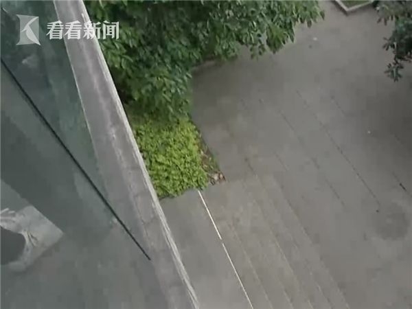 С���ҽԺ��¥�������� ����������ͽ�ֽ���