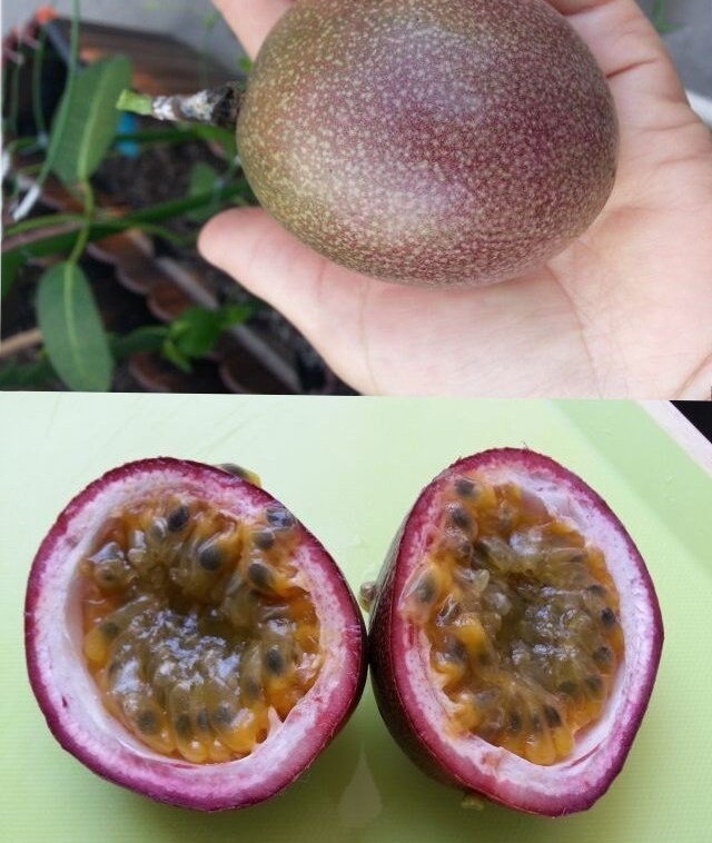 ����������ô��һ�����ӾͿ���������̨����Բ�����