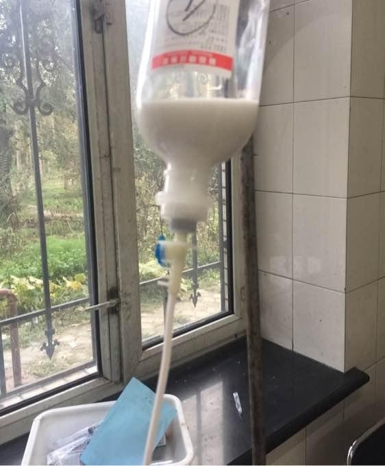 Ȯ�������ڵĹ��������������ң�����Ȼ�ܹ��ɣ�������Ҳ������
