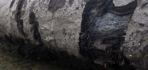 �����ڹ�������һ�ŷǳ�����������ļ�ֵ��Ȼ���ɹ���