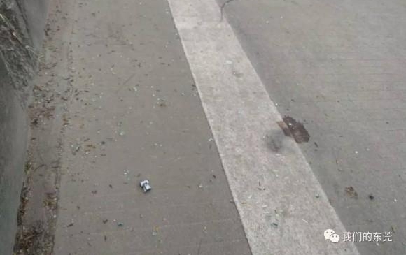 ҳݸˮɽ·ΣУײĿȫǣѧԱ