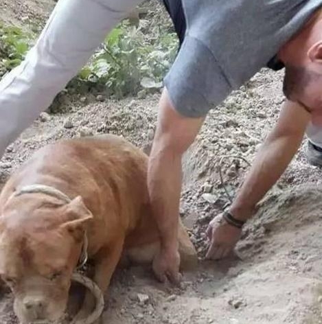 ���ӳ����޹���ȴ���ⷢ��һ���������񣬽���ȳ�������������ʹ