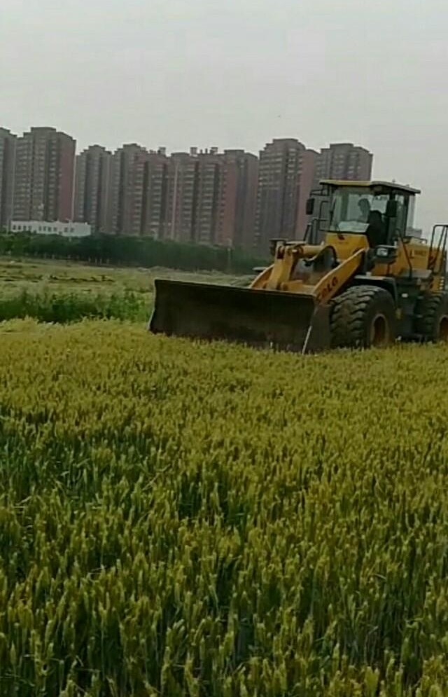 ���������б�Ե��������������Ƶ���ʵ��̫��ϧ�����������ų�