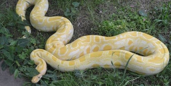 ����5�׳���������ͻȻ��ʧ�����ܺ��Ȼ�ڼҿ�����һĻ��