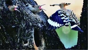 �ϰ١���ǹ���ڡ� �׵�Χ��һ����