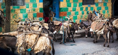 �����޹��ﴩ���й����߽㡱�Ʒ���������ǰһ����