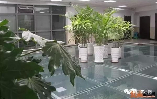 ѡ�δ�����ս���� ��������ʡֱ�����ڽ�������ս