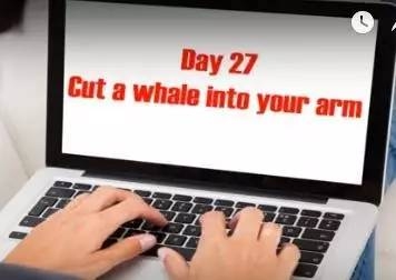 ��Ů���е��̱�����������Ϸ ʵΪ����Ű������