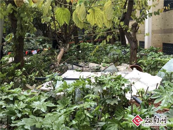 ������һС��5����̨���䡱׷�٣�ס���ܵ��� ר�ҳƺ���