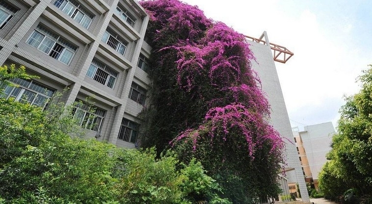 ������ѧ�ʻ��ٲ� ���ѳƺ���ȥ������������