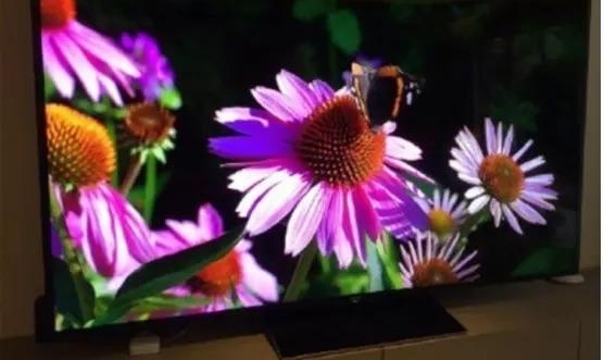 ʷ�������ӻ�����˼�ϵ������ճ�