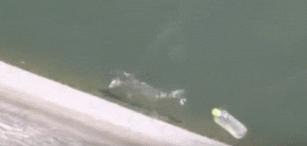 ������ô���Ĵ���Ҳ������, ���ϰ����������ȹ����