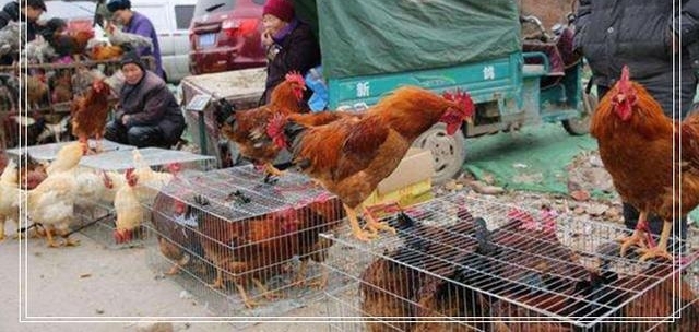 �����۸�������������Ĵ������ˣ�