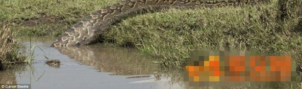 �ؿ�ζ������������ֻ��������Ӱʦ���������ˣ�