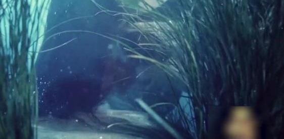 �����Ǵ�������bug���ָ��±����������Σ�����ӱ�ݼ�����ĺ�