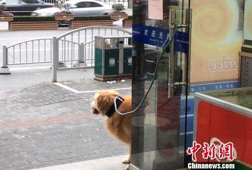 ��������ҧ��·�˱����� �̵������Ȯ�涨