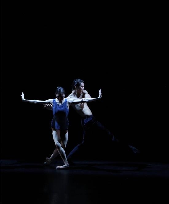 2017�й��赸ʮ���� ���껪������ʢ��