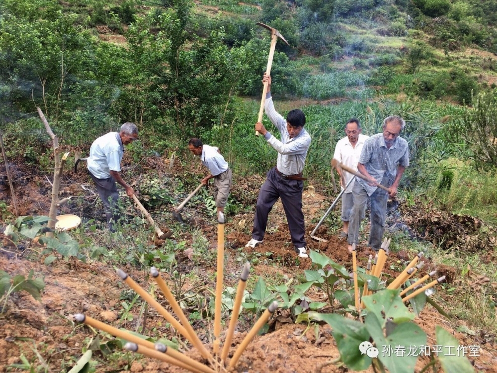 ���ٹ�·ͣ��������ѰӪ��Ĺ�� �ҵ�����Ҷ�������