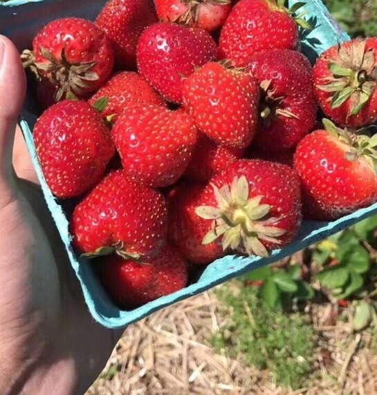 ����ڹ������ʲô���Ӱ������ų����Ĳ˻��Գƿ��������ģʽ��