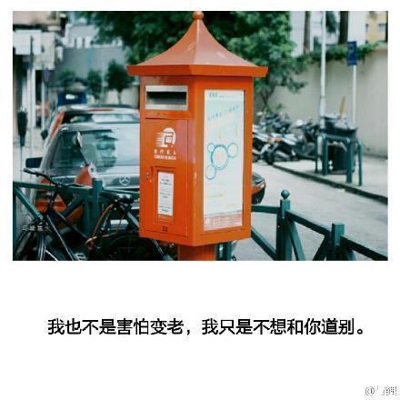 뿴㿴磬εĻ