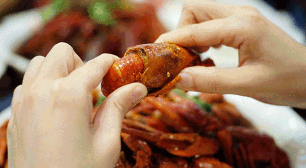 ��ԡ���С��������һ����֪���ҹ�С��Ϻ�������������͵�8��