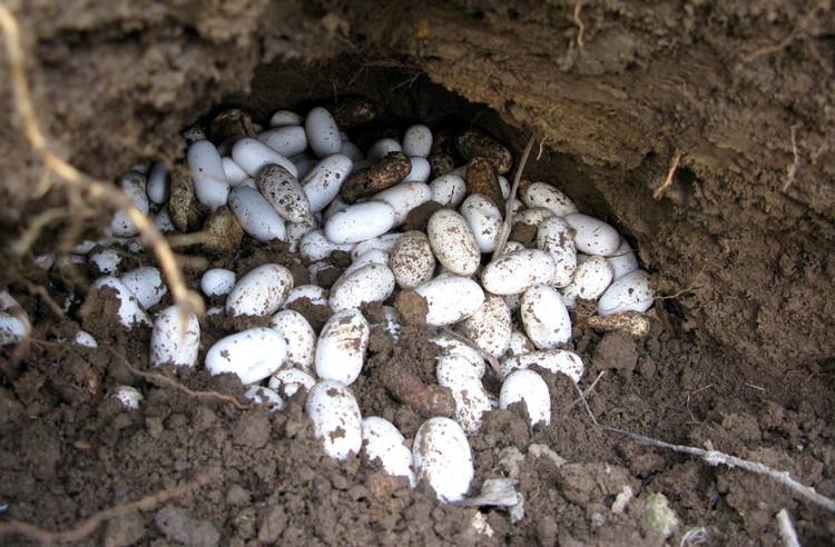 ũ���ּ��������൰�������ľ��������ٲ���Լ�����