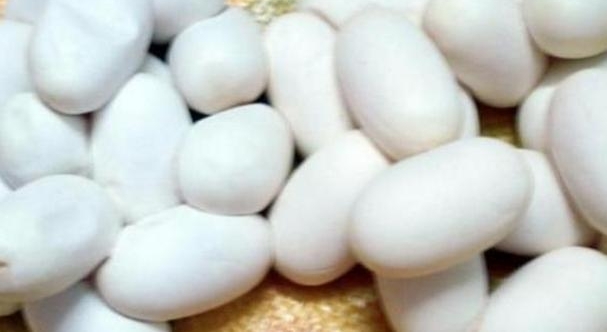 ũ���ּ��������൰�������ľ��������ٲ���Լ�����