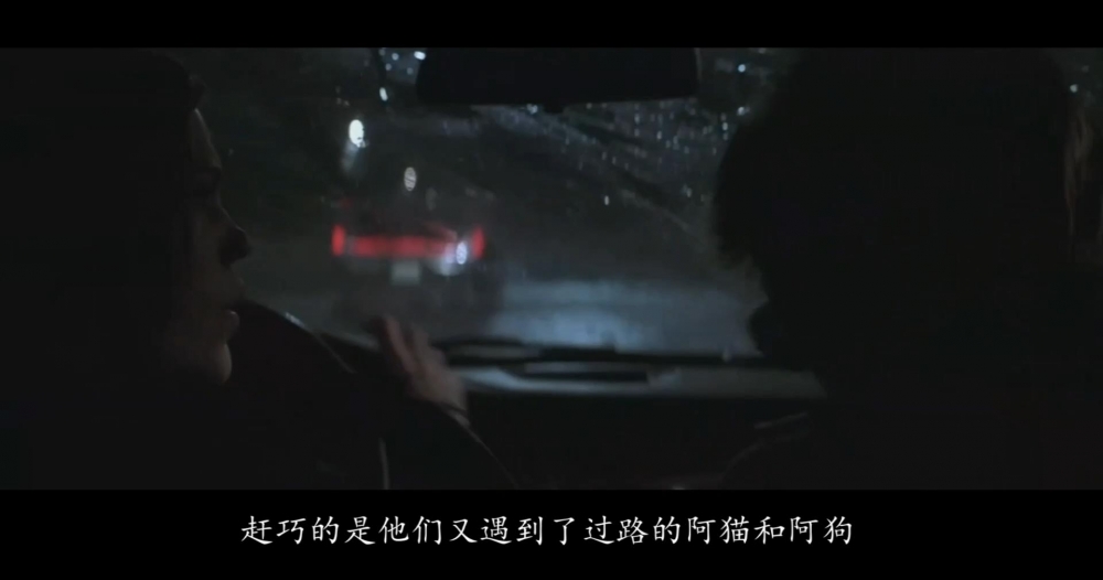 ���������ݡ�����ֲ����ɣ����������������룡