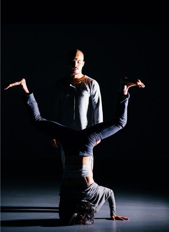 2017�й��赸ʮ���� ���껪������ʢ��