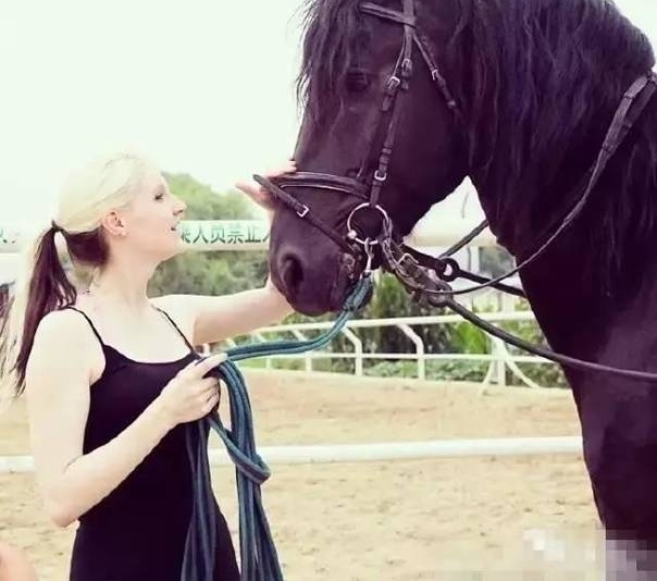 �������ں����������ֺ�;�ͨ�����黭�Ľ��