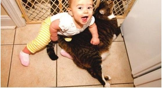 ���Ӳ�㱻�򣬳�С������˵�������ѣ��Ǹý�ѵһ��