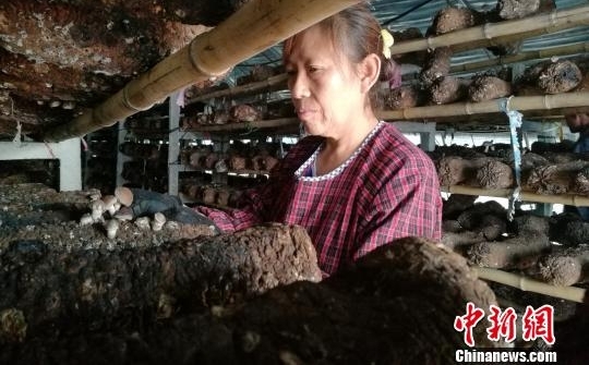 ɽ�����������ת�͡��¡�ũҵ ũ�񹤻��紴ҵ���ɶ�