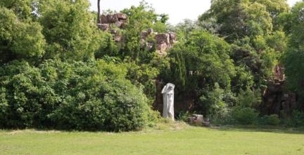 ��������һֻС���Ӿ�Ȼ��ʧʮ���� �����������˺���