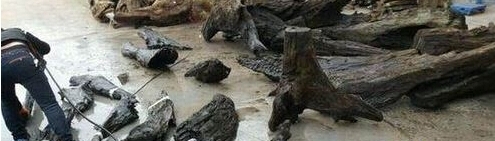 ����ɽ��·�����ⷢ����Щ���أ����������Ͻ���