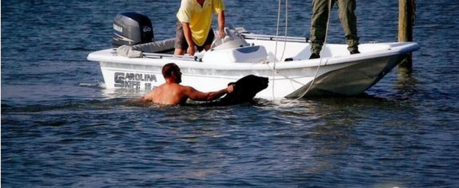 �����������ﱧס��ɫ��������˿�����ŵþ��Ŵ�У�