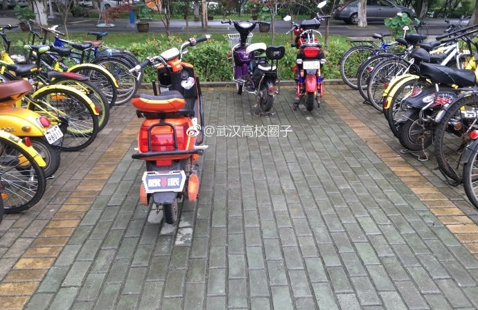 �����綯����½�人������У԰��ĳ�ɫ�籩��Ϊ��У���صķ羰��