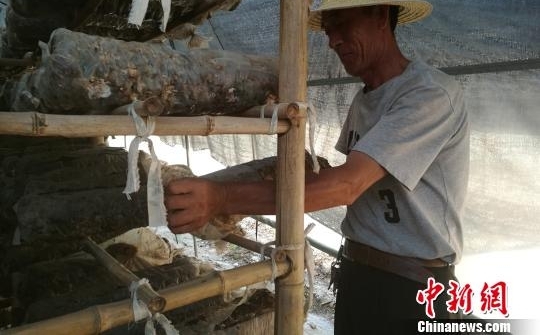 ɽ�����������ת�͡��¡�ũҵ ũ�񹤻��紴ҵ���ɶ�