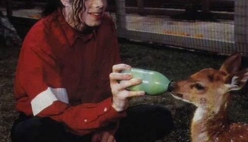 ���������꣬���˶� �� �ܿ�ѷʱ���ڼ���