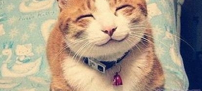 2017�й�����ţ����ҵ�ճ�¯�����ڹ㶫