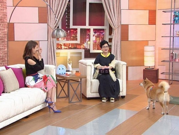 �����类��Ůǿ�˼������� ̹�ԡ����ˡ�����Ϸ��