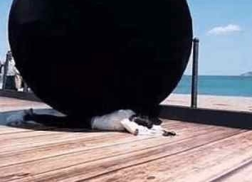 baby����ȫ��װ������ϸ��ֱ, ��Ŀ�����˻�������ָѹ�崩