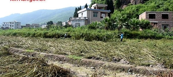 ������ǧĶ���Ѳ�ϲ�����