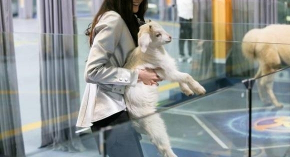 �����ܰɡ��ֵ��������εľ�Ȼ�����ǣ� �粽����ɼ�ǿ���