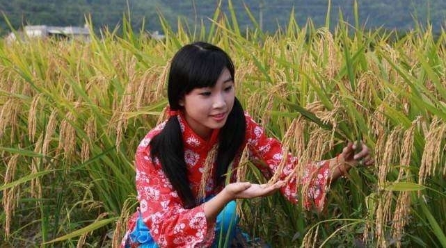 Ů����鲻Ҫ������Ҫ����, ֻ��һ��������������������