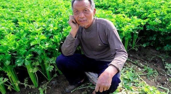 ũ�����������ڵ����棬�����˻��ǳԲ���