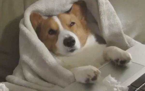 תתtaڹȦ黹ѡʮǰѽ